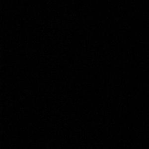 Meet your Posher, Kiley